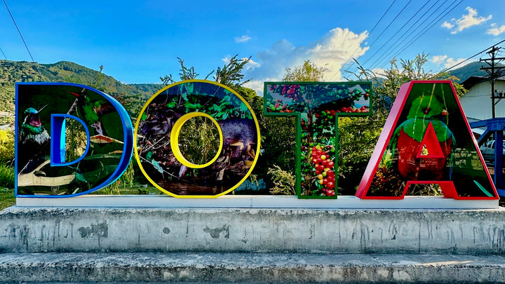 Costa Rica: Hermosa Washed