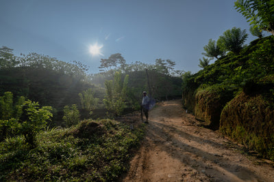 English Breakfast Tea, Loose-Leaf