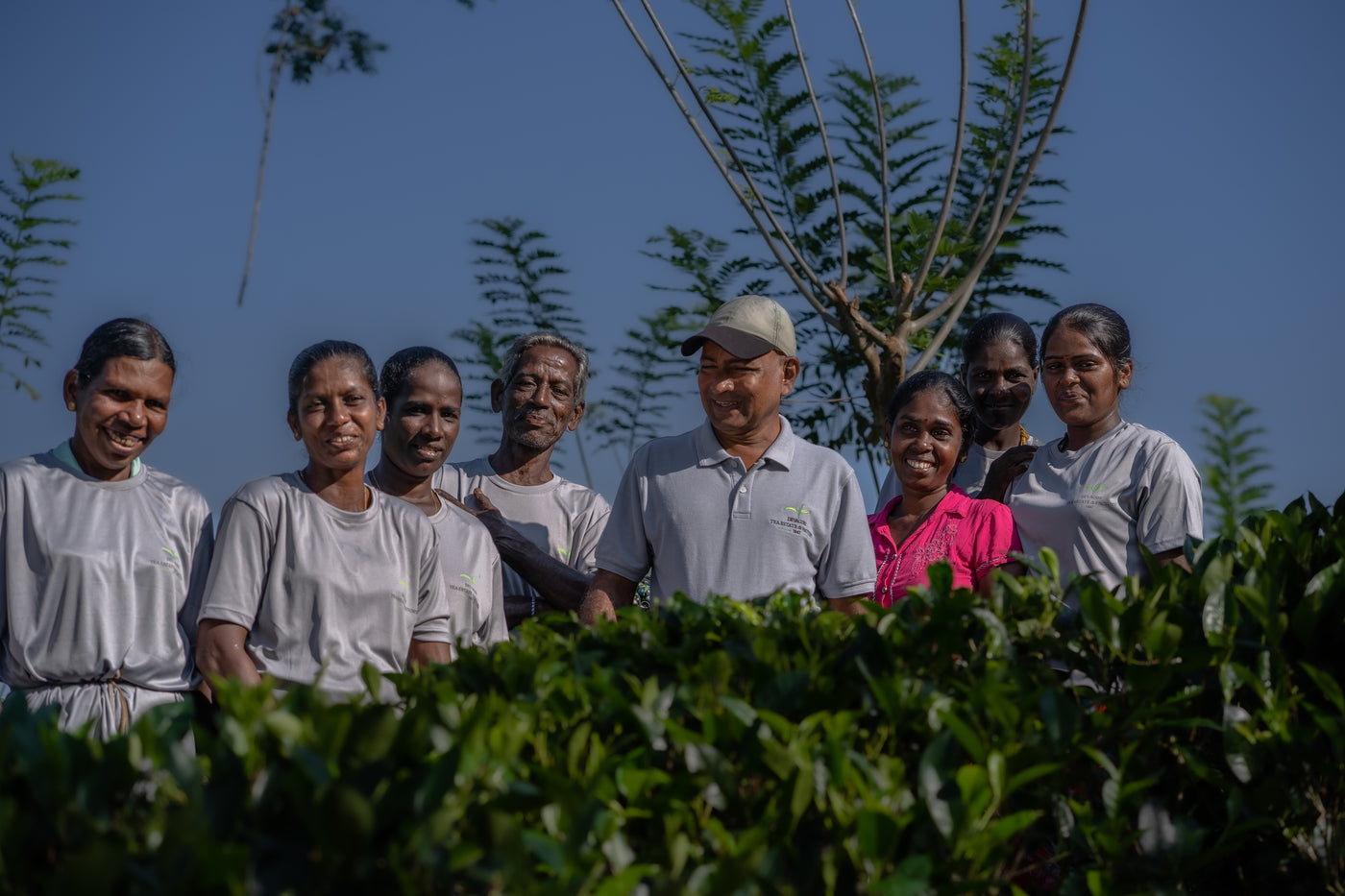 English Breakfast Tea, Loose-Leaf