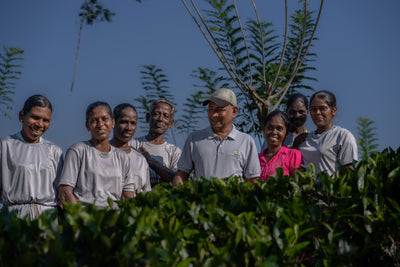 English Breakfast Tea, Loose-Leaf