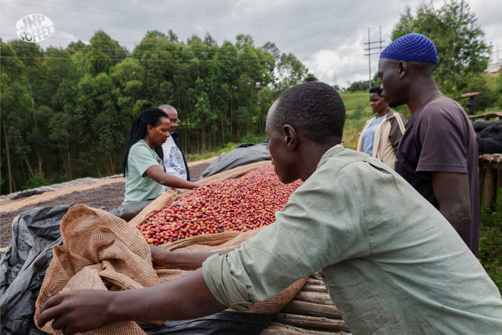 Burundi: Vyiza Natural