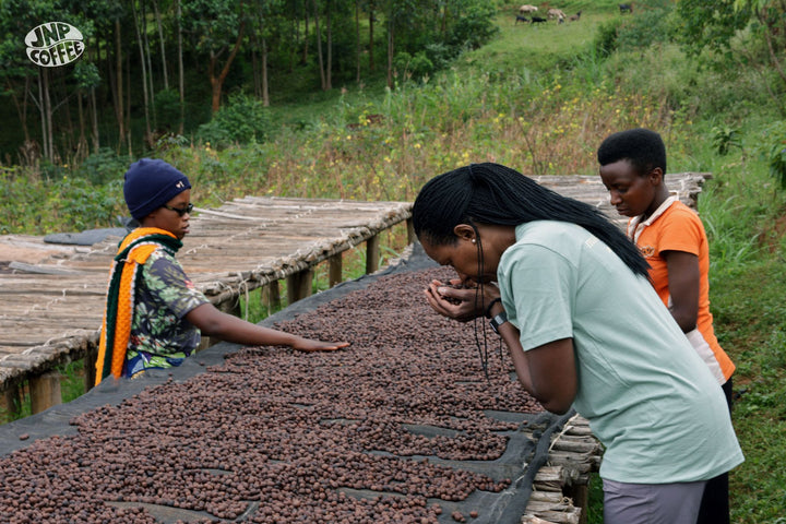 Burundi: Vyiza Natural