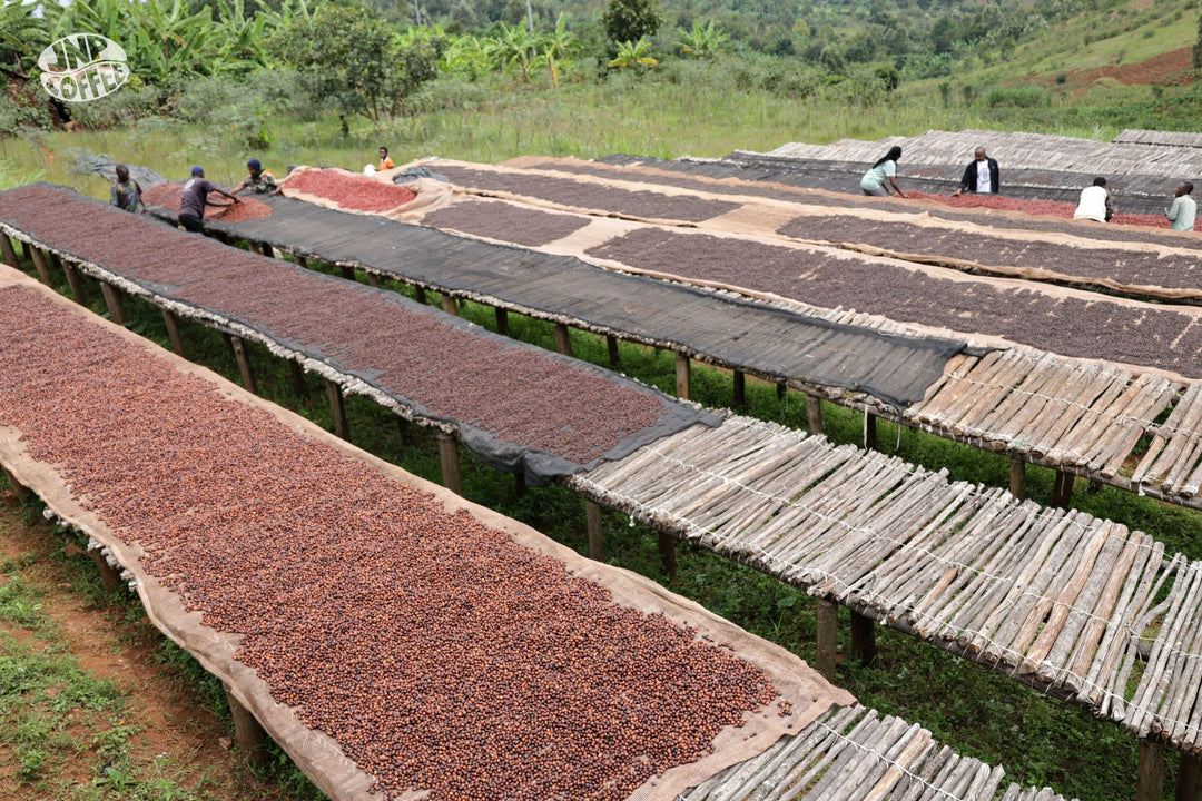 Burundi: Vyiza Natural