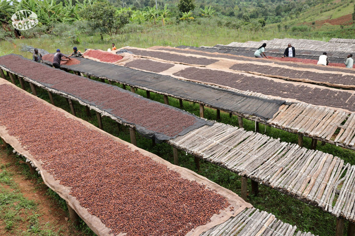 Burundi: Vyiza Natural