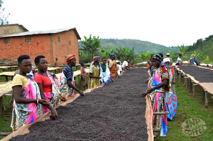 Burundi: Vyiza Natural