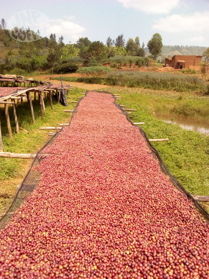 Burundi: Vyiza Natural