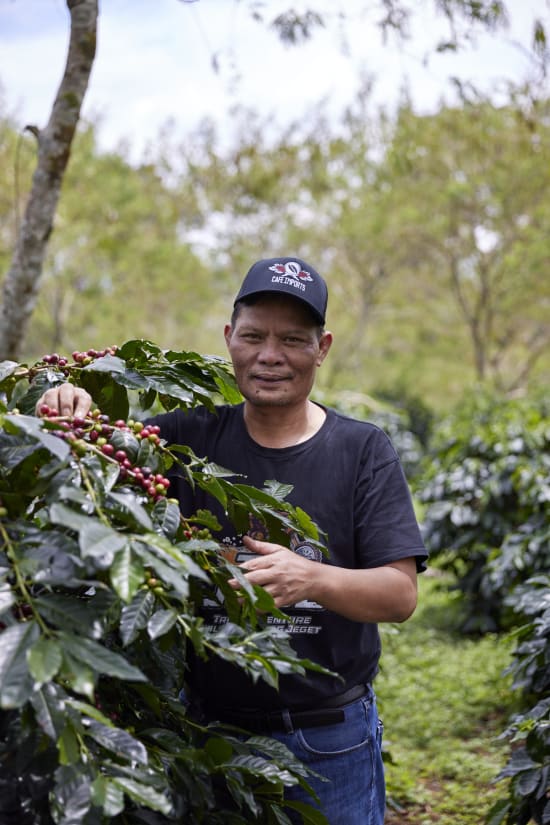 Sumatra Asman Gayo