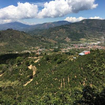 Costa Rica: Hermosa Washed - Single Origin - 100% Arabica