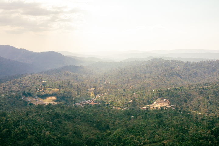 Ethiopia: Halo Beriti Natural
