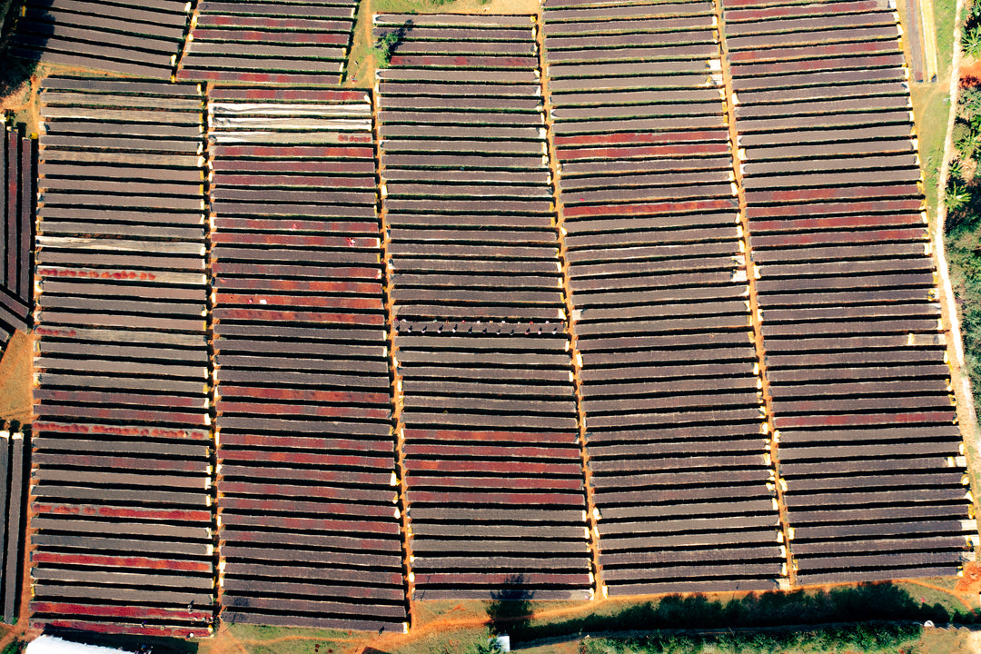 Ethiopia: Halo Beriti Natural