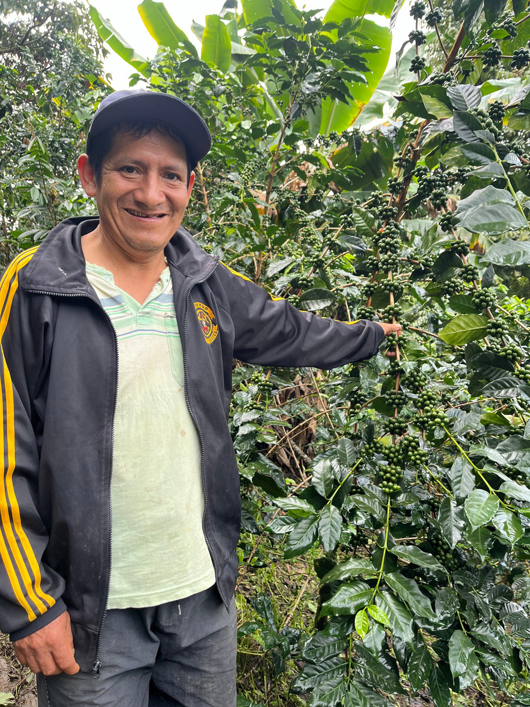 Peru: La Danta