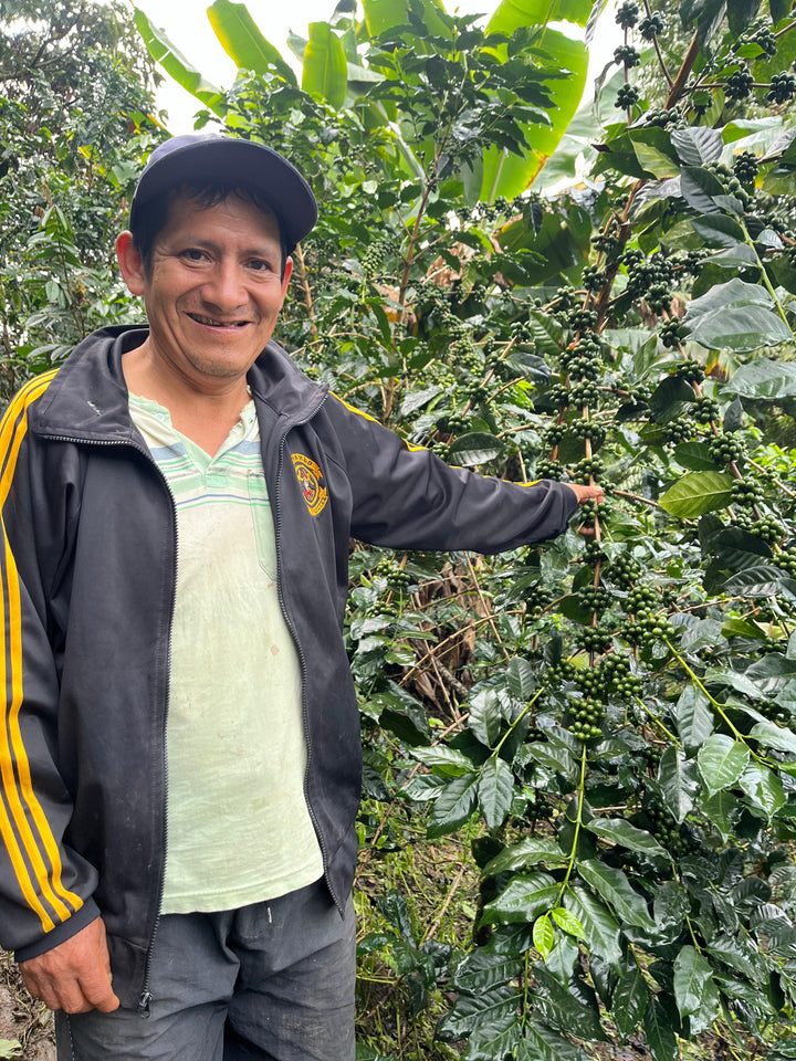 Peru: La Danta