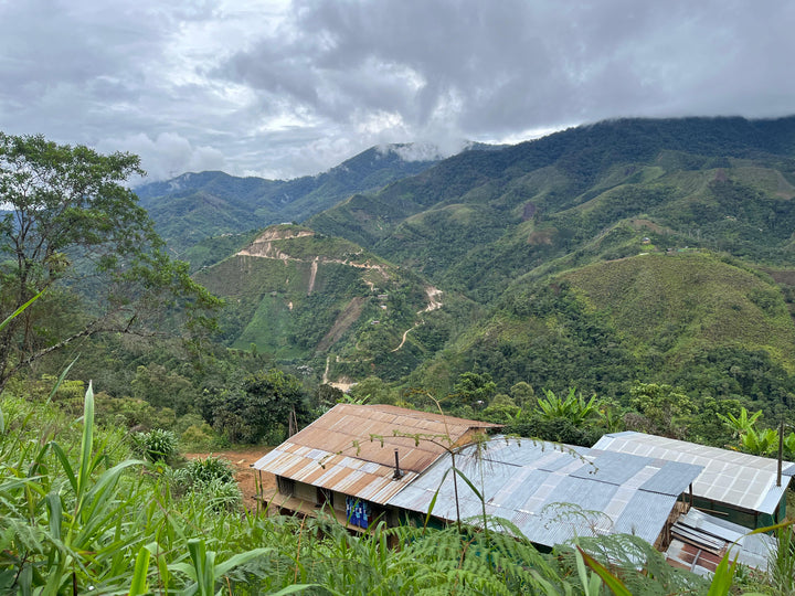 Peru: La Danta