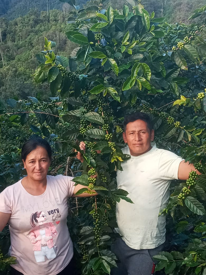 Peru: La Danta