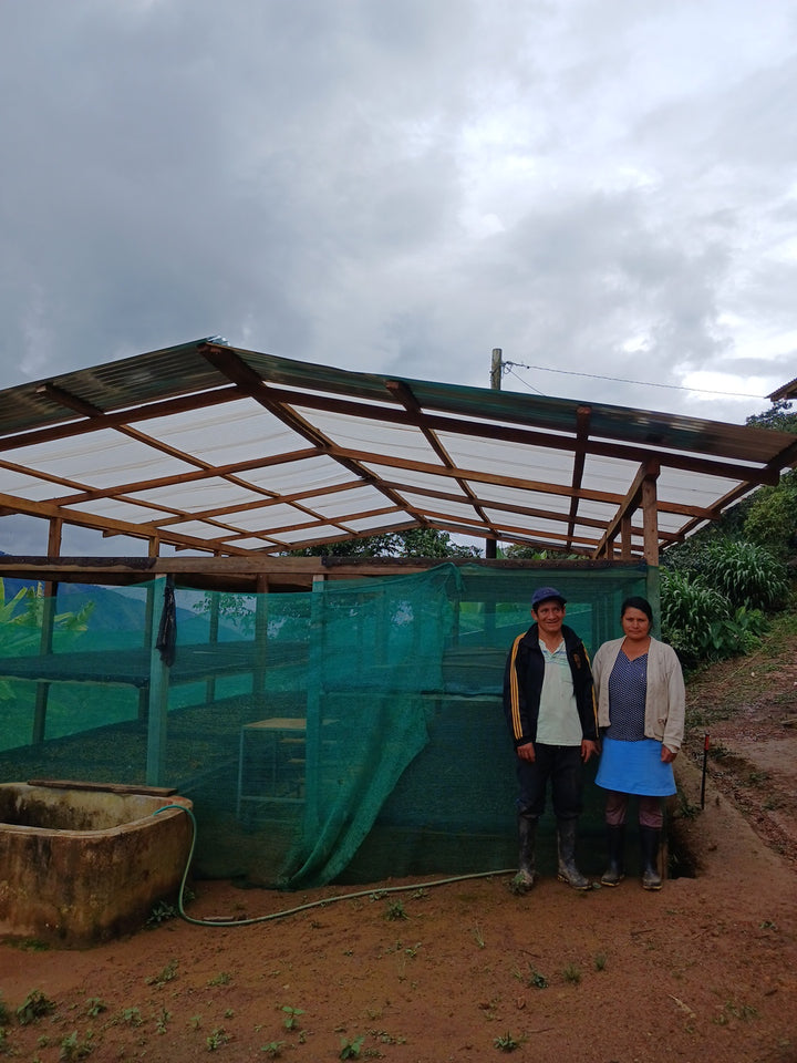 Peru: La Danta