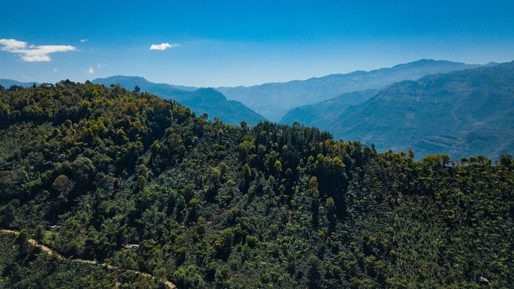 Guatemala: Francisco Morales La Esperanza