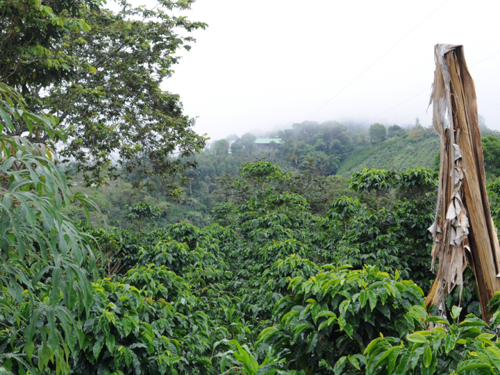 Colombia Las Esmereldas Women's Project