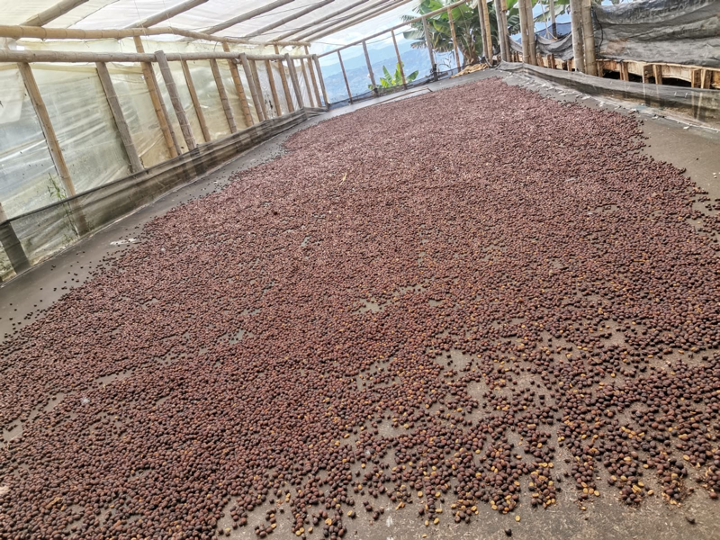 Colombia Las Esmereldas Women's Project