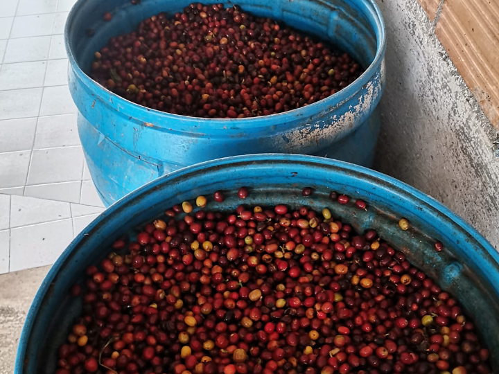 Colombia Las Esmereldas Women's Project