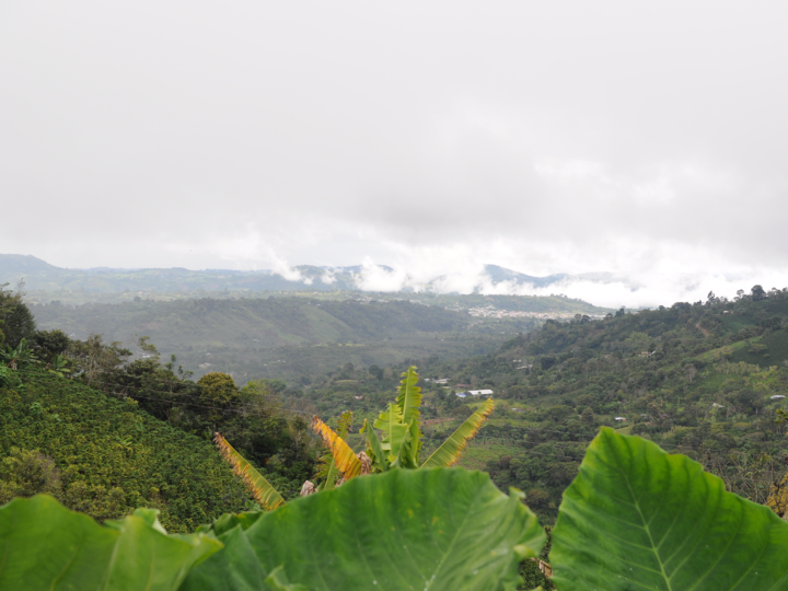 Colombia Las Esmereldas Women's Project