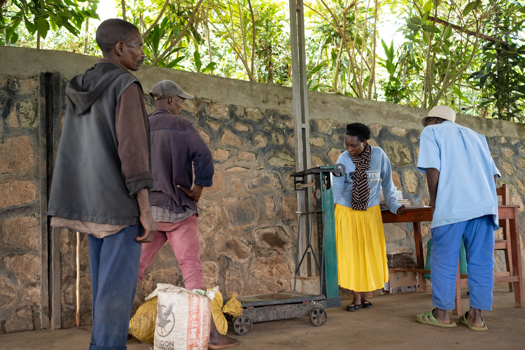womens produced arabica coffee