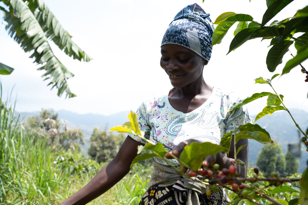 burundi speciality coffee farmer