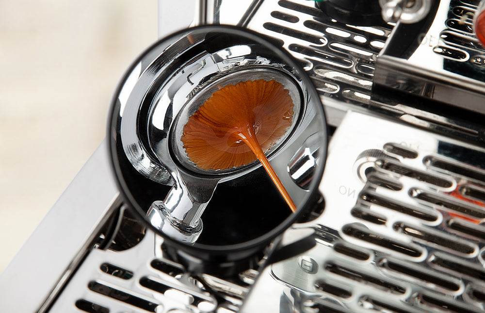 ECM shot mirror and bottomless portafilter