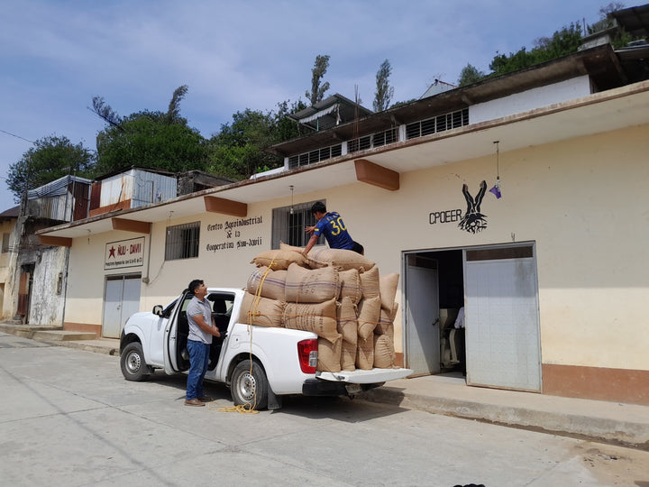 Mexico: Nuu Davii