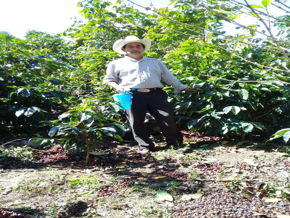 Lino Garcia Speciality Coffee Farmer