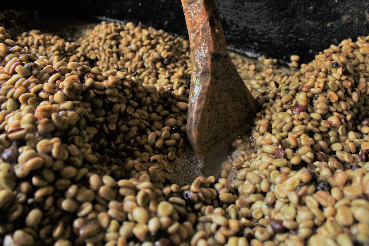Processing of speciality coffee beans