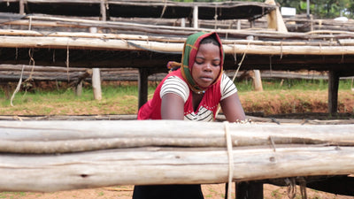 Burundi washed coffee processing