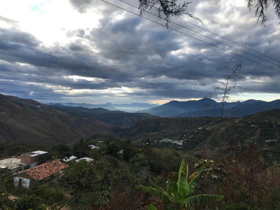 Speciality Colombia arabica coffee