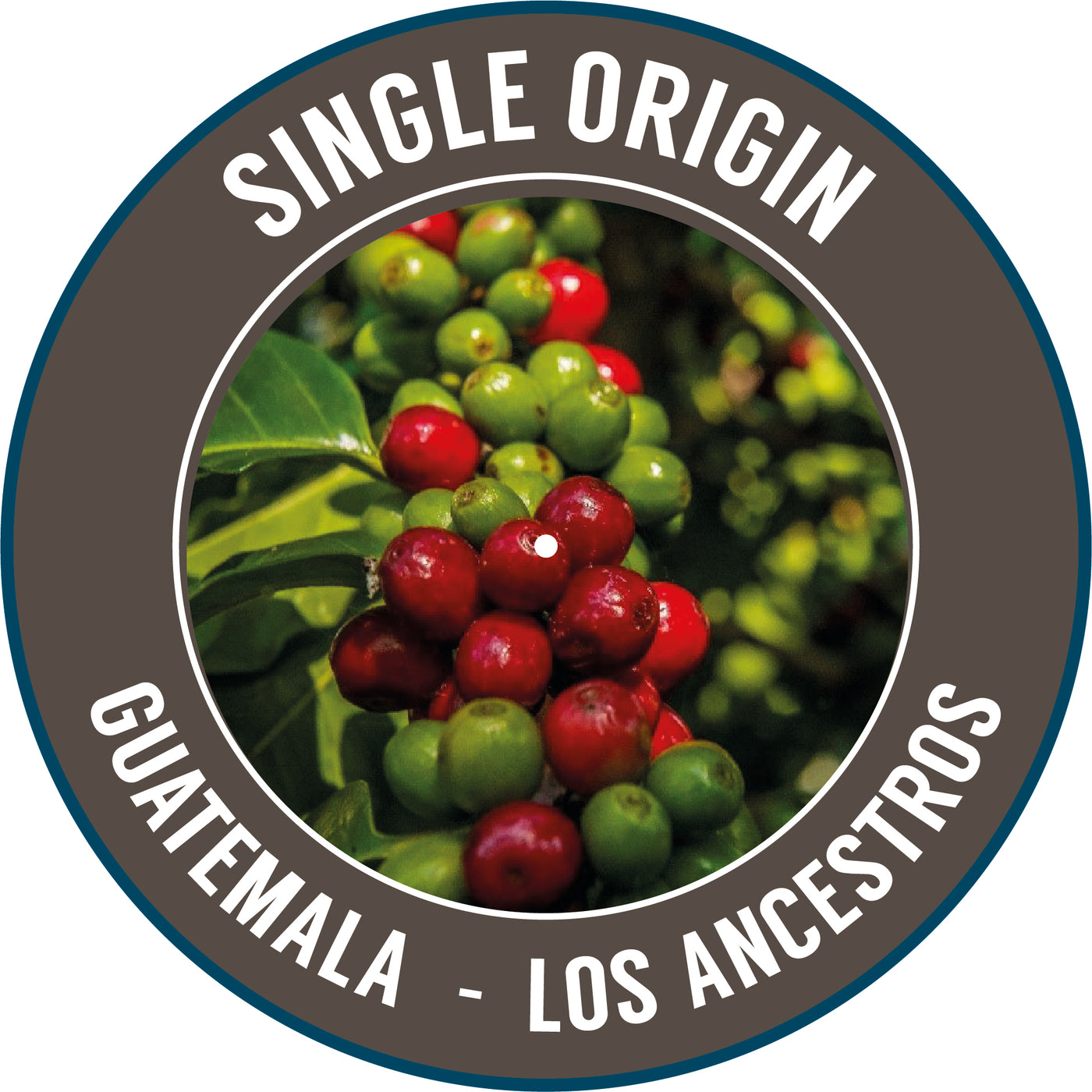 Guatemala: Los Ancestros Coffee - Single Origin - 100% Arabica