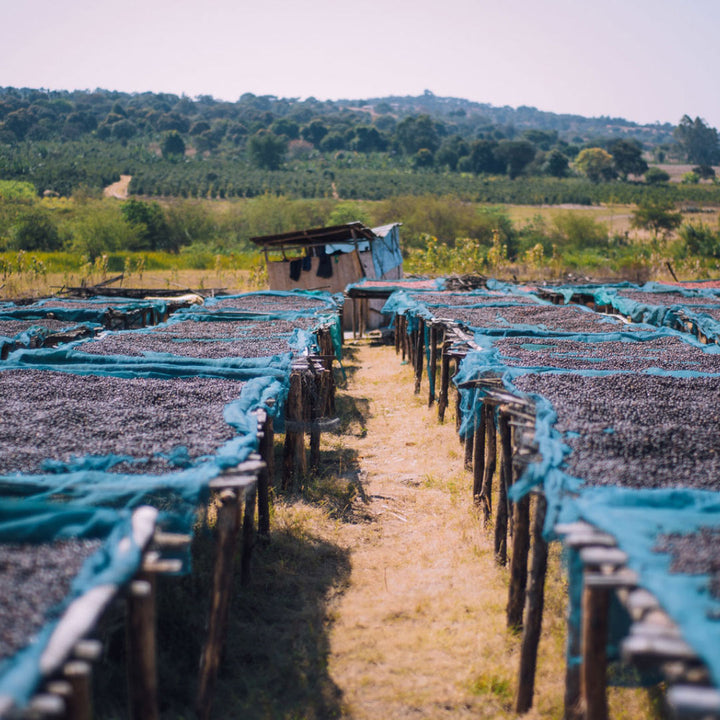 Tanzania: Ishando AB