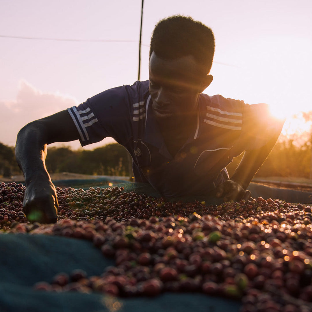 Tanzania: Ishando AB