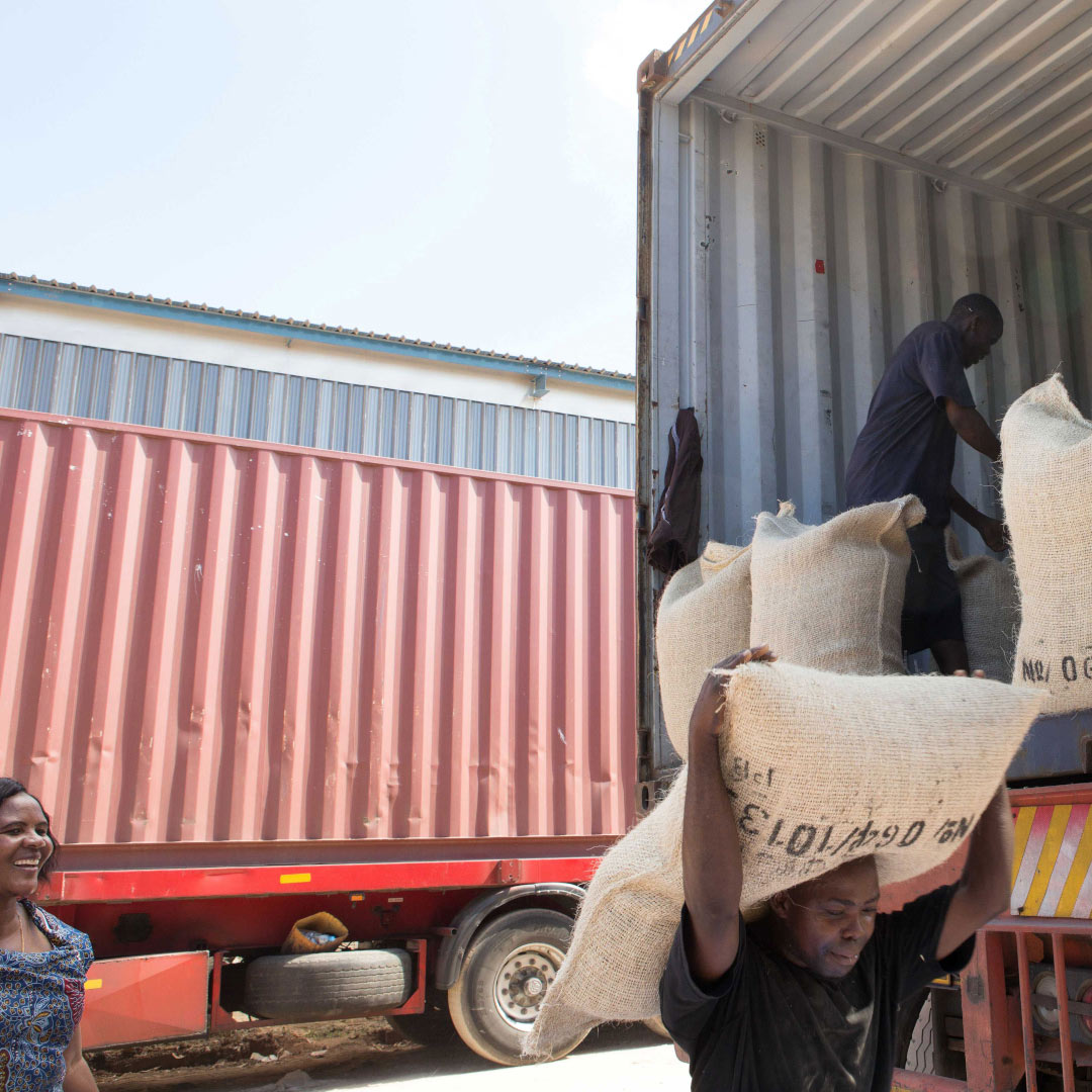 Tanzania: Ishando AB